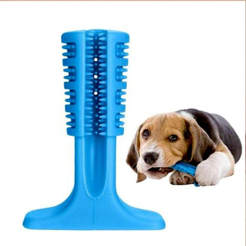 Mordedor Escova Dental para Cães